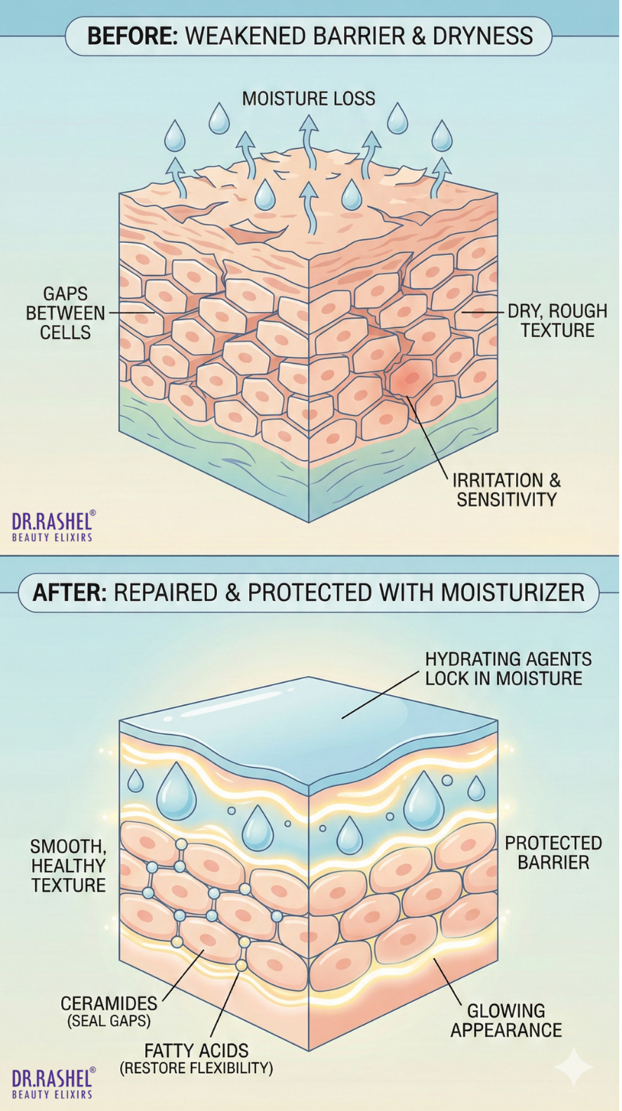 how moisturizer works on skin